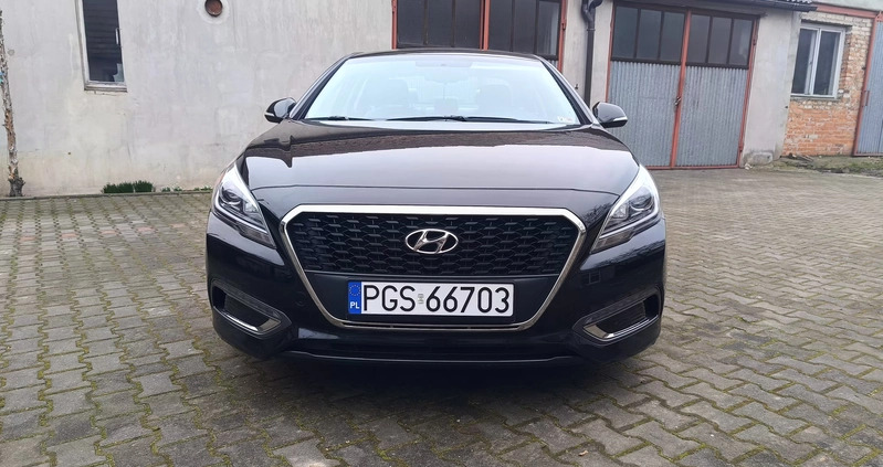 Hyundai Sonata cena 64900 przebieg: 136000, rok produkcji 2017 z Gostyń małe 379